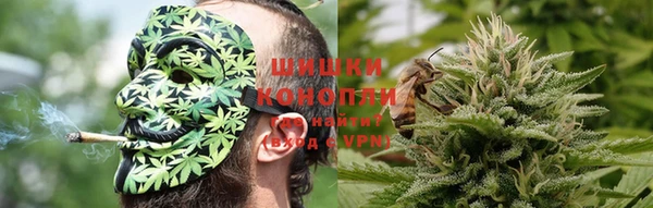 дурь Алексеевка