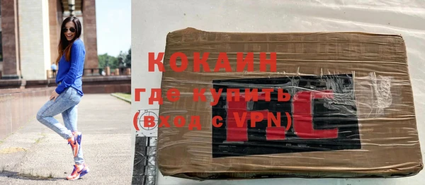 крисы Алексин
