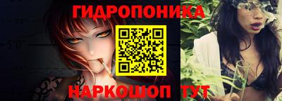 бошки Сланцы