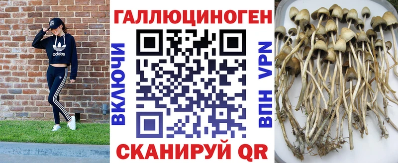 гидра как зайти  закладки  Урюпинск  Галлюциногенные грибы MAGIC MUSHROOMS 