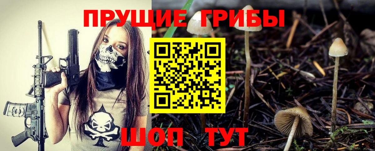 Урюпинск  Галлюциногенные грибы мицелий  Вход с VPN  Галлюциногенные грибы Cubensis 