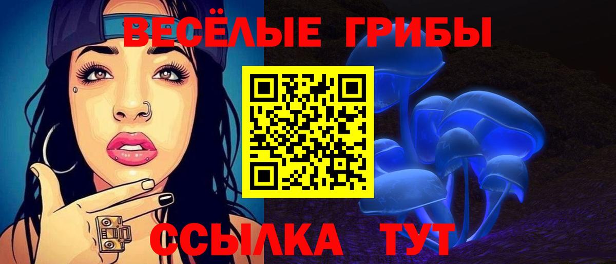 Галлюциногенные грибы GOLDEN TEACHER Урюпинск